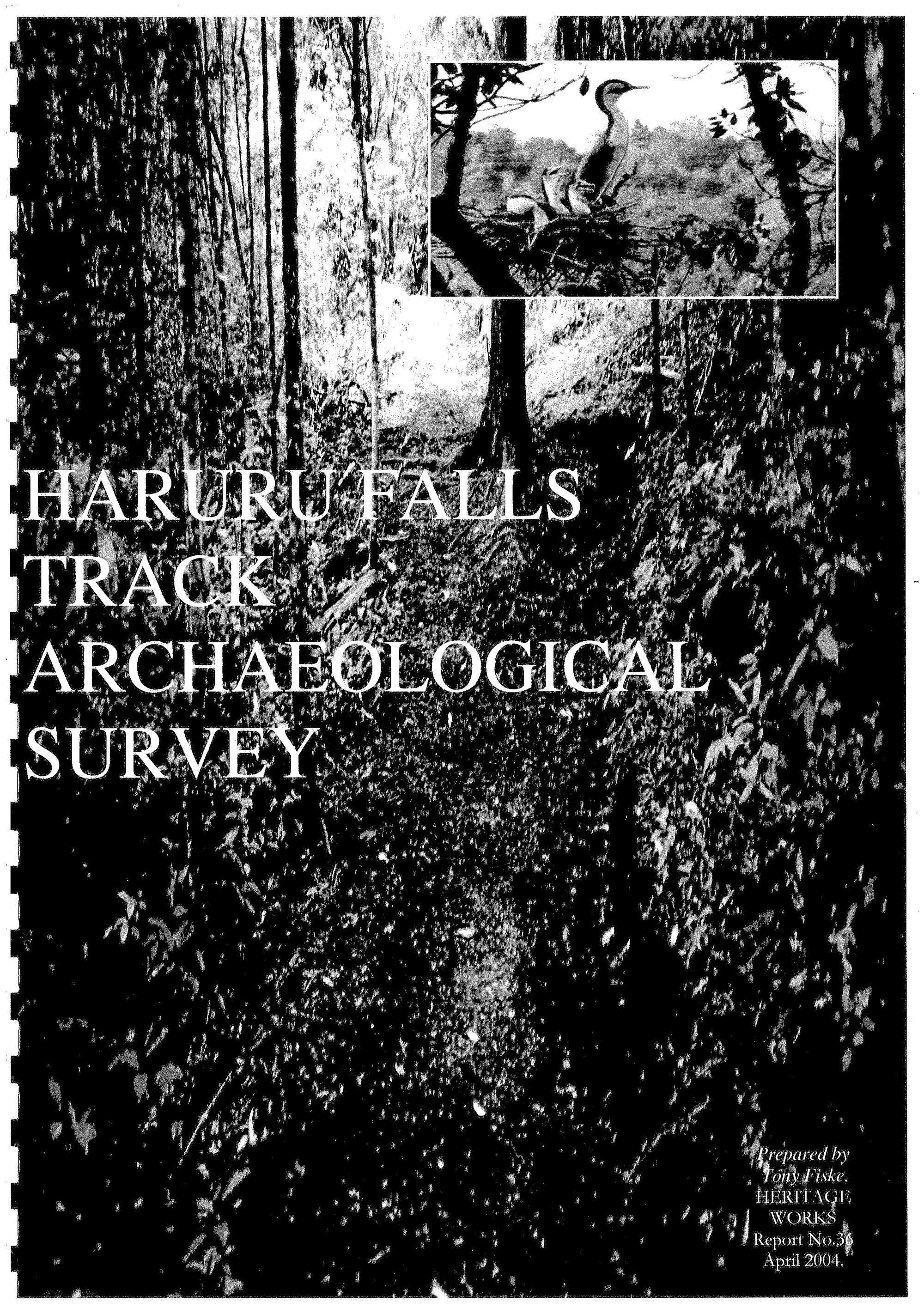 Haruru Falls Track Archaeological Survey