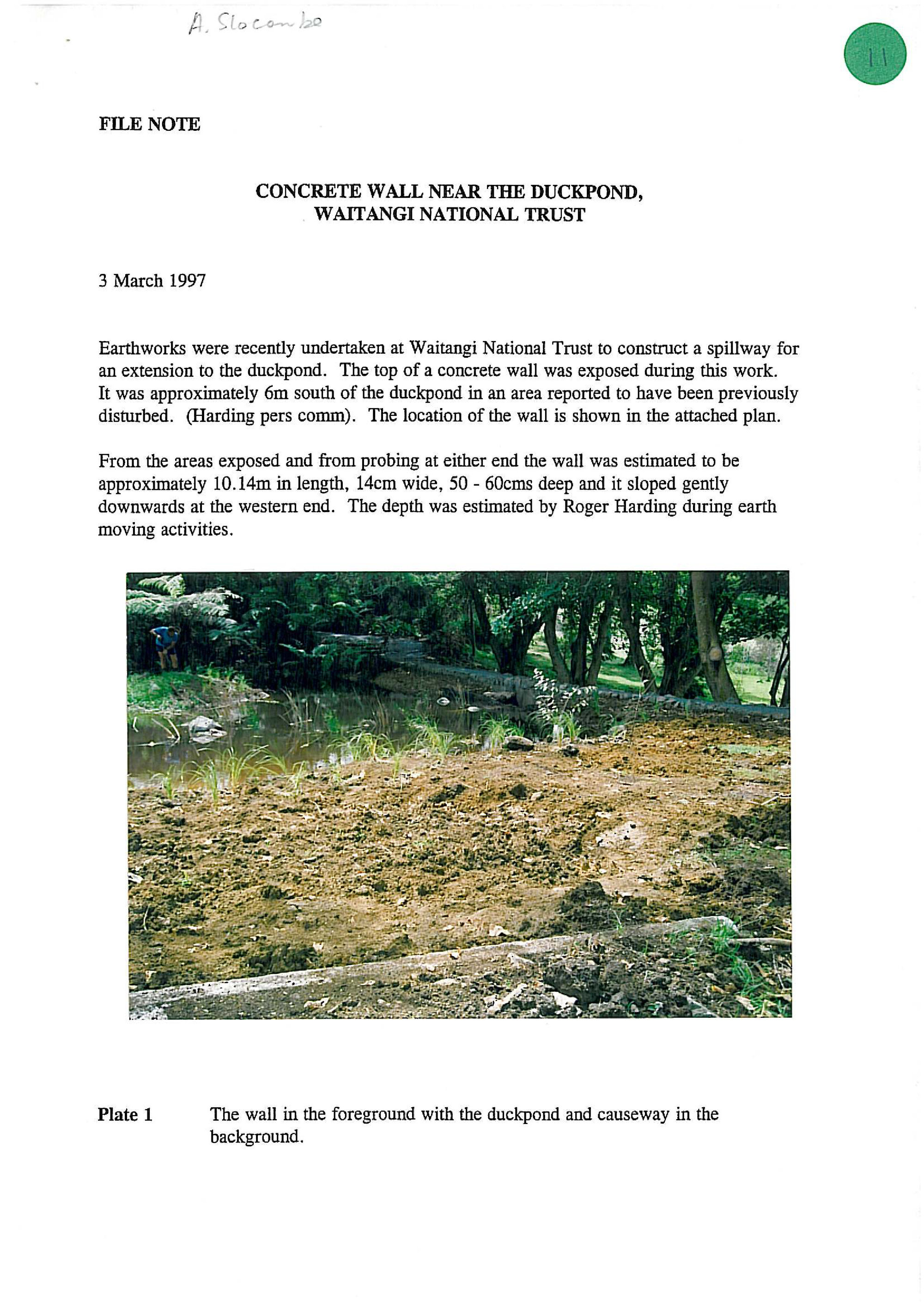 Concrete Wall Near the Duckpond, Waitangi National Trust