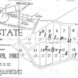Tikipunga Estate [Auctioneers' map] December 19, 1903