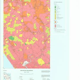 New Zealand Land Inventory : Mangakahia-Dargaville : Land tenure and holding