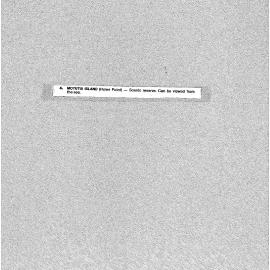 Motutui Island (Howe Point)