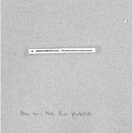 Okahu Island (Red Head)