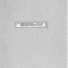 Toretore Island (Nobby's)