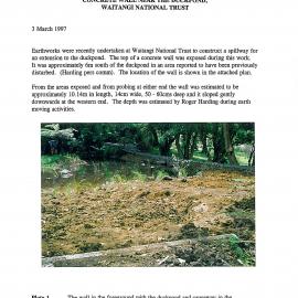 Concrete Wall Near the Duckpond, Waitangi National Trust