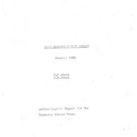  Lake Omapere Survey Report