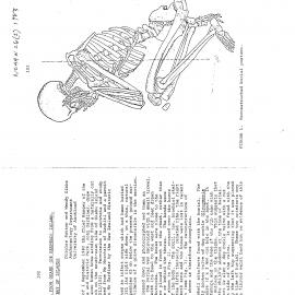 An Infant Burial from Okahu-or Redhead-Island