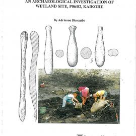 An archaeological investigation of wetland site, P06-82, Kaikohe