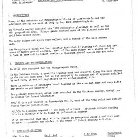 Glenbervie SF 21 archaeological interim report. Maungatapere and Tutukaka Blocks