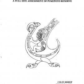 Conservation Management Major Project. A full site assessment of Pukepoto Reserve