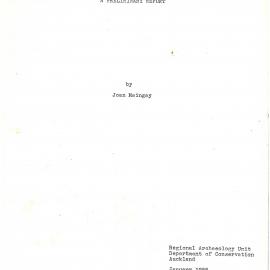 Excavation of Wood's Flour Mill, Whangarei. A preliminary report