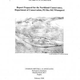 Habitat enhancement in the lower Te Rewa stream