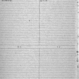 Far North. Rangiputa, Pukeke Notes