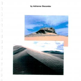 An Archaeological Survey of the Far North - Encompassing the dunelands from Ninety Mile Beach to Parengarenga Harbour