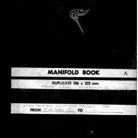 Field Notes, Mt Camel Archaeological Survey