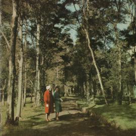 Whangarei Photo News August 1964