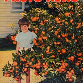 Northland Photo News July 1968