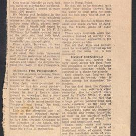 SPCA man and JP keep watch as Opo plays