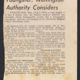 Opo was comparative youngster, Wellington authority considers