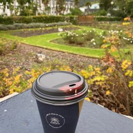 Rose Garden  from Water Street Whangarei