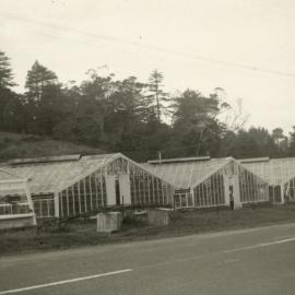 Cameron's Glass Houses, Maunu Road, Whangarei