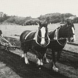 Ploughing at Heritage Park