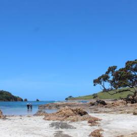 Bland Bay, Whangaruru