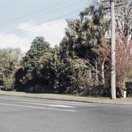 Rock Walls Corner Cairnfield Road and Mains Ave 