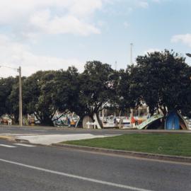 Row of Pohutukawa trees at Whangarei's Town Basin