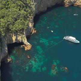 Poor Knights Islands Marine Reserve