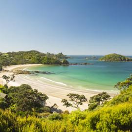 Moureeses Bay, Whananaki