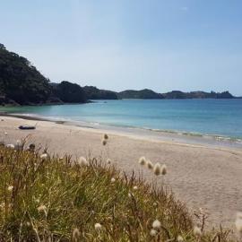 Otamure Bay, Whananaki