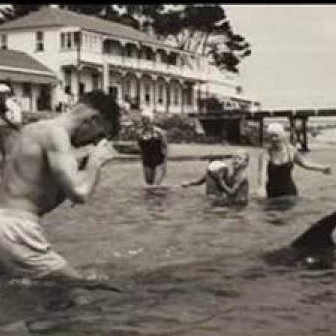 Opo the Dolphin