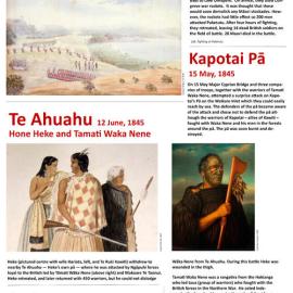Puketutu Heritage New Zealand Poster