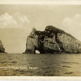 Piercey Island,  Cape Brett