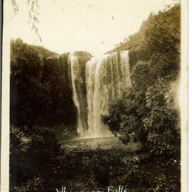 Whangarei Falls