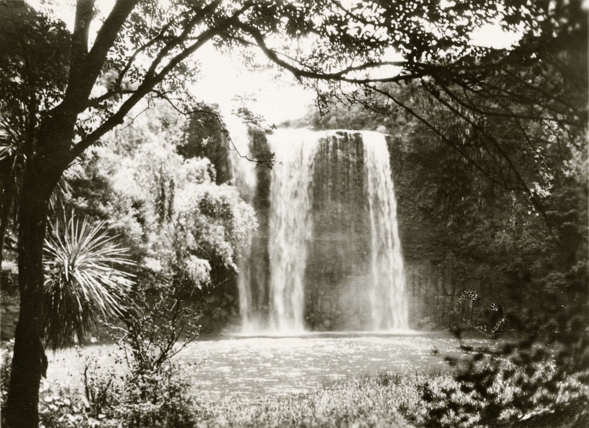 Whangarei Falls