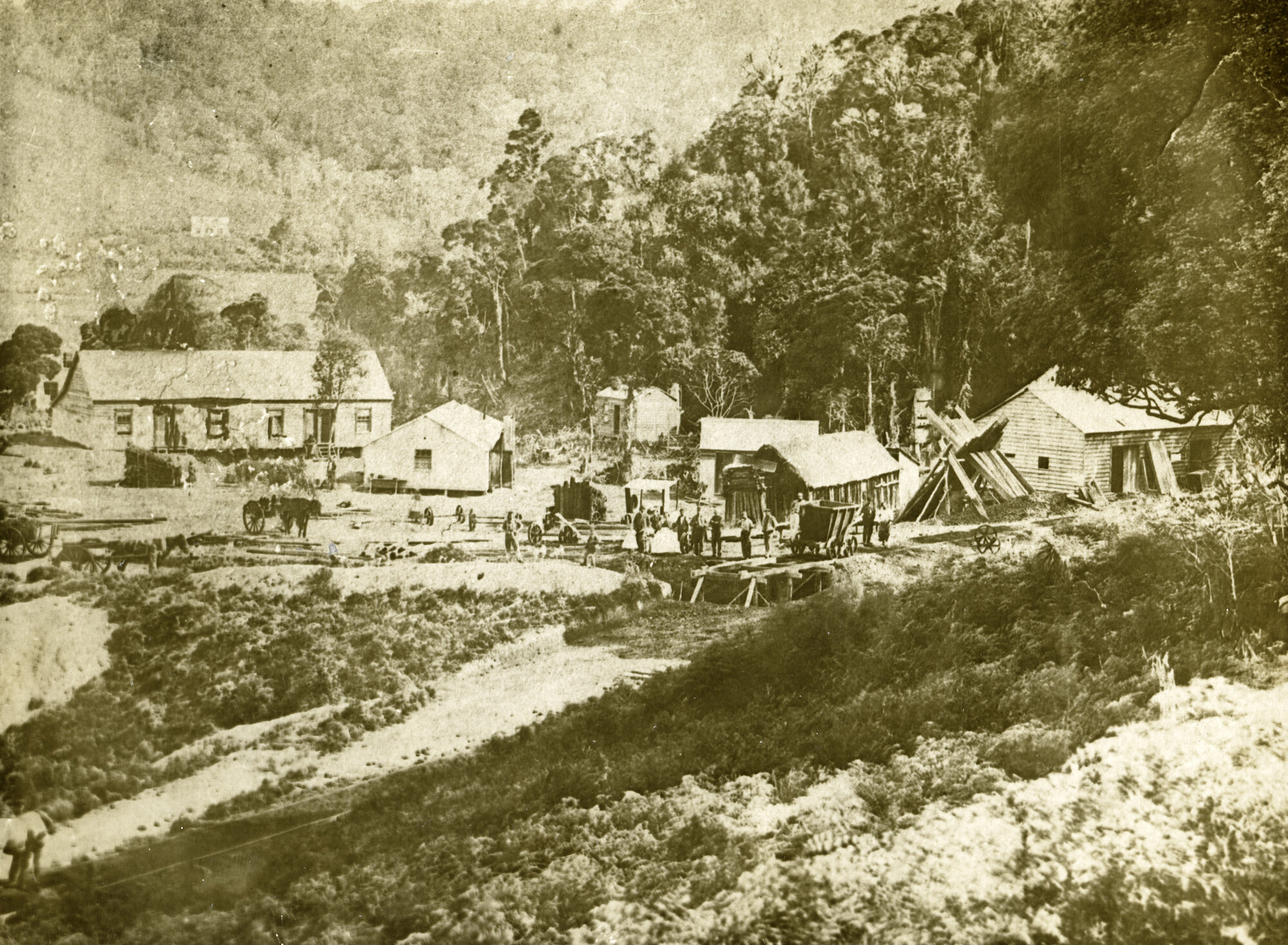 Whau Valley Coal Mine