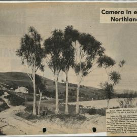 PN01.13 Riverside Road, just around the Bluff corner