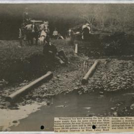 PN01.65 Whau Valley Stream, water supply