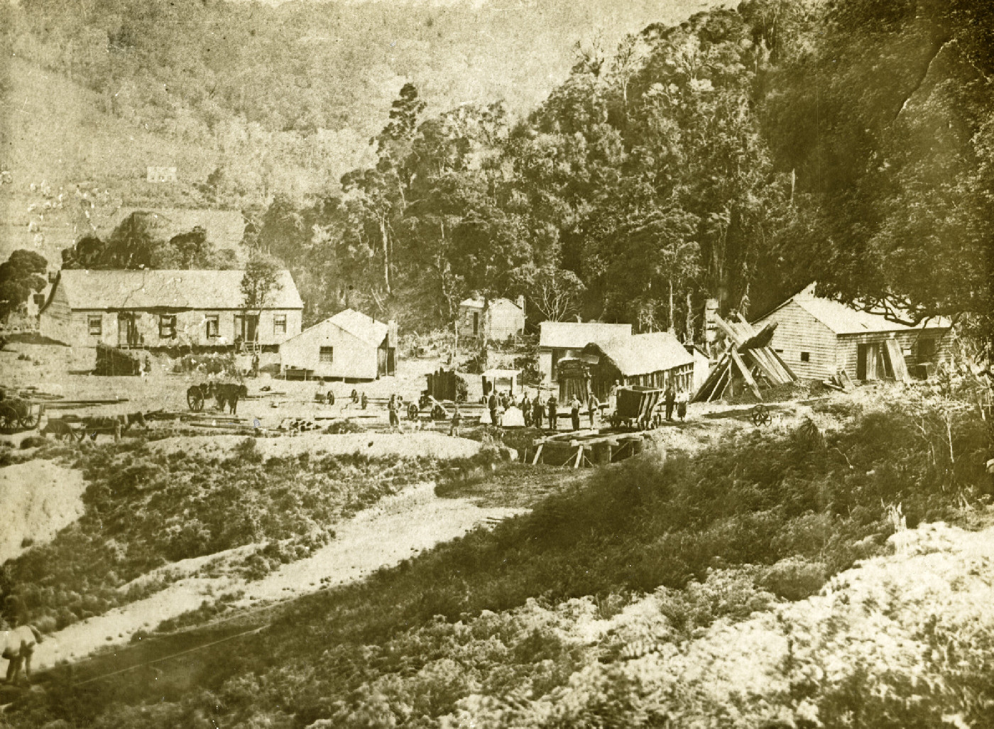 Whau Valley Coal Mine, purchased by Henry Walton in 1862
Whangarei Libraries Recollect  wdc.recollect.co.nz